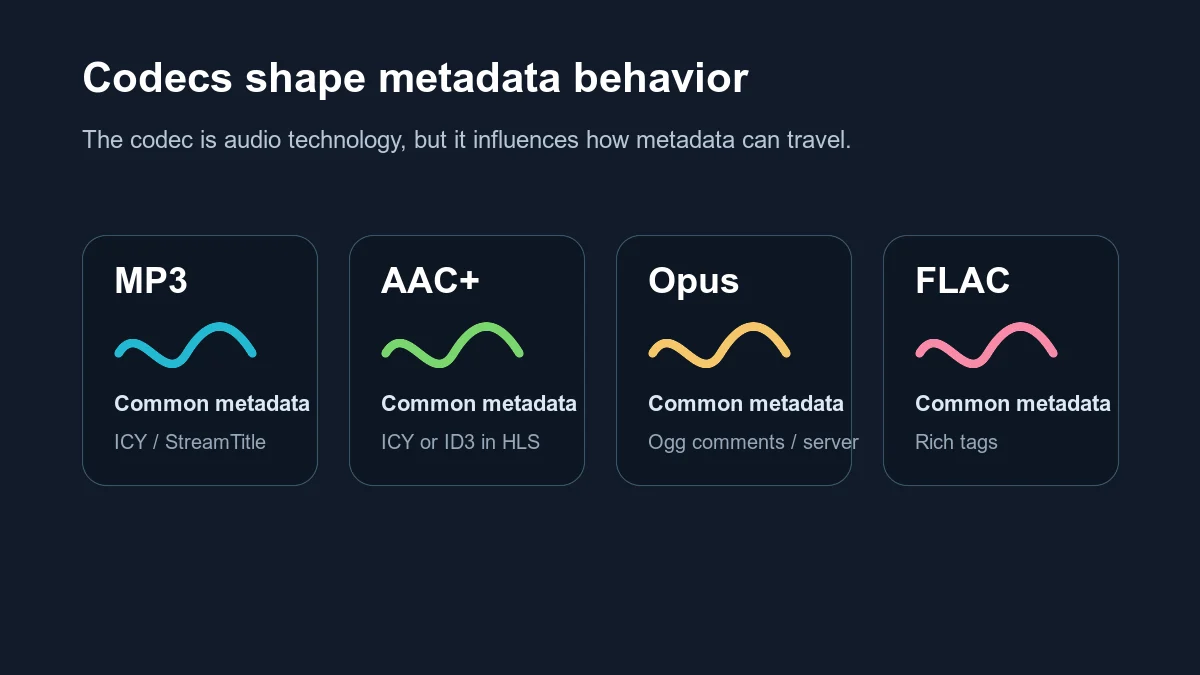 Comparison illustration of four audio codecs with icons and labels showing typical metadata mechanisms